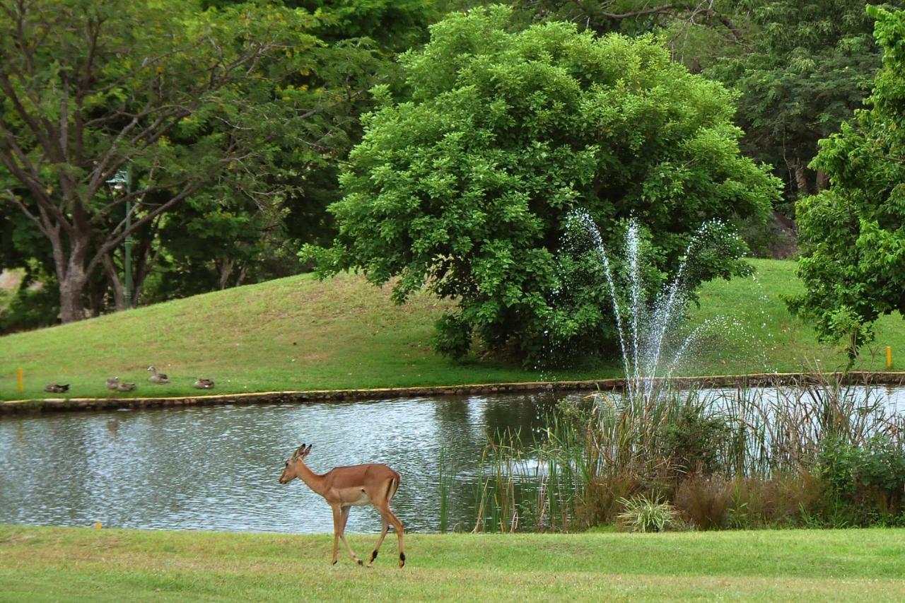 Kruger Park Lodge Unit No. 610B Hazyview Ngoại thất bức ảnh