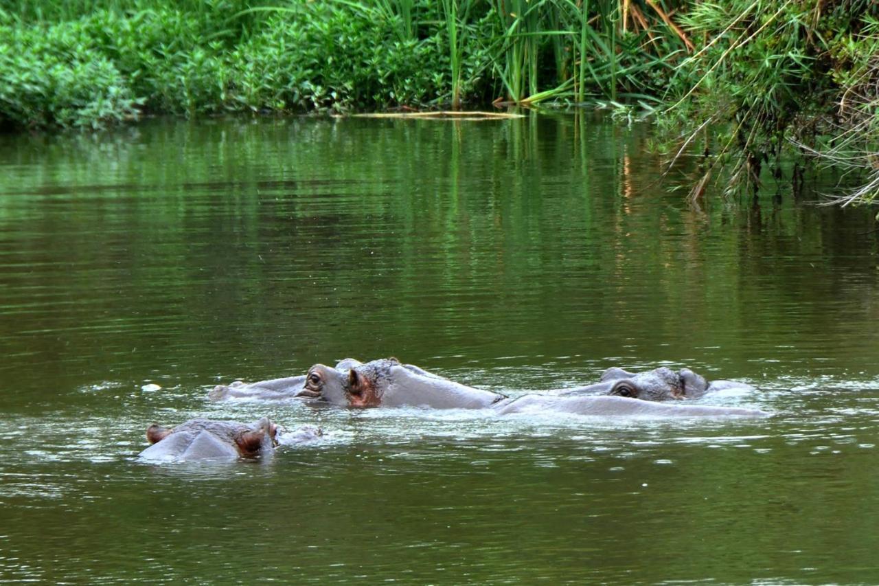 Kruger Park Lodge Unit No. 610B Hazyview Ngoại thất bức ảnh